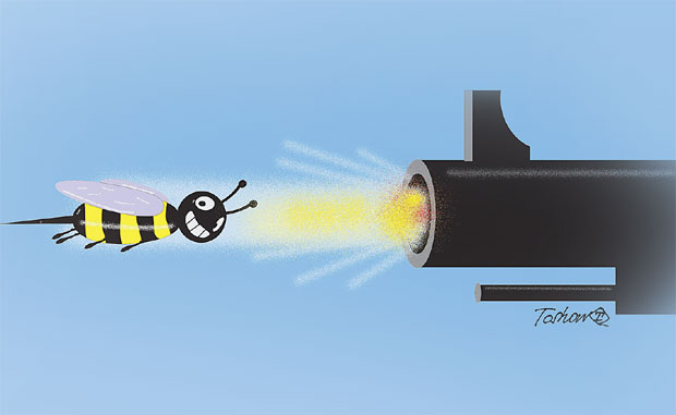 Када жаока значи смрт